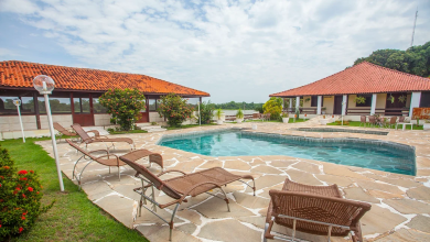 Pantanal – Land of the Jaguar