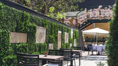 Hike Bulgaria’s Rodopi Mountains