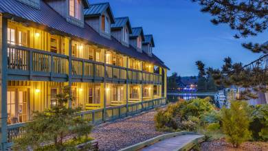 Whales & Bears of British Columbia