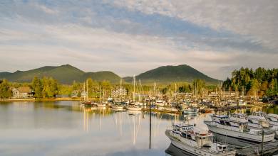 Whales & Bears of British Columbia