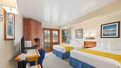 Whales & Bears of British Columbia