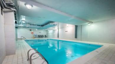 Whales & Bears of British Columbia