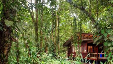 Costa Rica’s Coastal Secrets