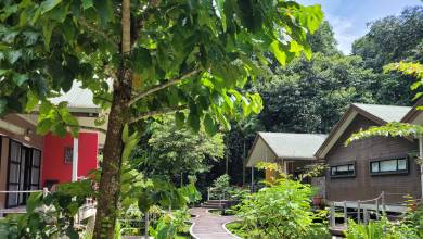 Borneo Family Wildlife Adventure