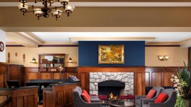 Whales & Bears of British Columbia