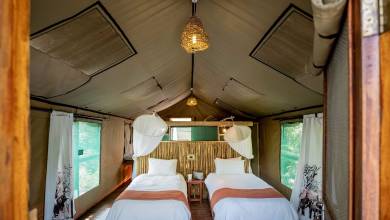 Botswana & Zimbabwe Lodge Safari