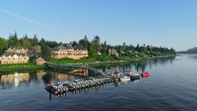 Whales & Bears of British Columbia