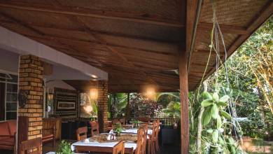 Chimps & Gorillas of Uganda