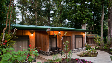 Costa Rica’s Coastal Secrets