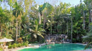 Borneo Family Wildlife Adventure