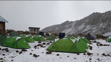Kilimanjaro Climb Rongai Route