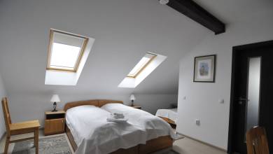 Carpathian Walking & Bears