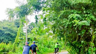 Cycle the Coast of Kerala