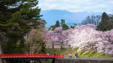 Cycling in Japan