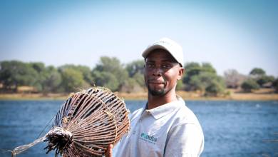 Zambezi Canoe Safari