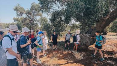 Walking in Puglia & Matera