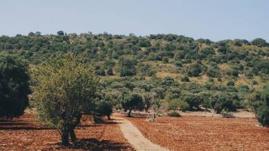 Walking in Puglia & Matera