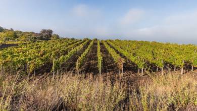 Highlights of Sicily