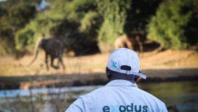Zambezi Canoe Safari