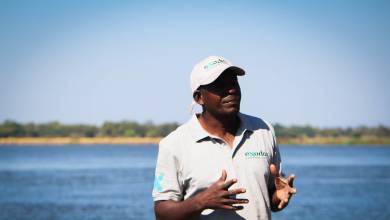 Zambezi Canoe Safari