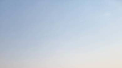 Zambezi Canoe Safari