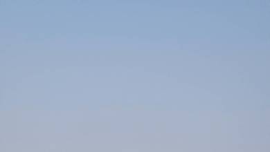 Zambezi Canoe Safari