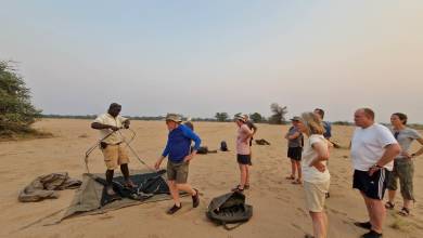 Zambezi Canoe Safari