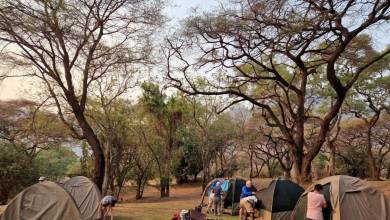 Zambezi Canoe Safari