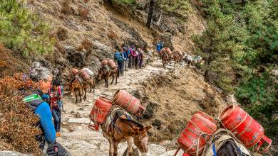 Everest & Gokyo Lakes Circuit