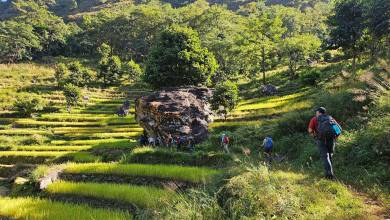 Annapurna Circuit Trek