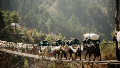 Everest Base Camp Trek – Expedition Departures