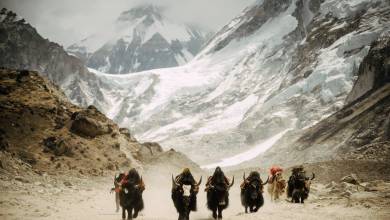 Everest & Gokyo Lakes Circuit