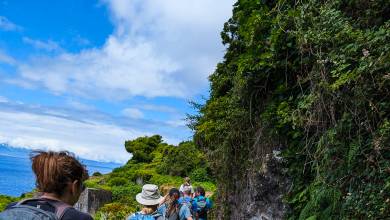 Walking in the Azores