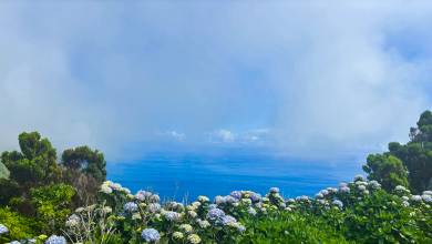 Walking in the Azores