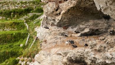 Amalfi Coast Family Adventure