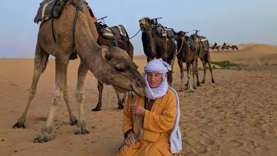 Highlights of Morocco