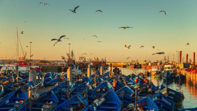 Highlights of Morocco – In Comfort