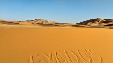 Highlights of Morocco – In Comfort