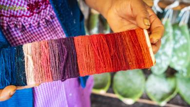 Discover Mexico – Day of the Dead (Oaxaca)