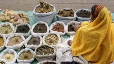 Highlights of Northern India