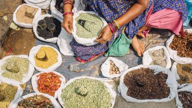 Highlights of Northern India & Nepal