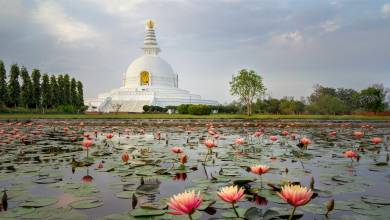 Highlights of Northern India & Nepal