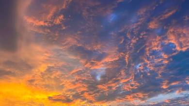 Borneo Wildlife Discoverer