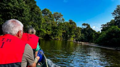 Borneo Wildlife Discoverer