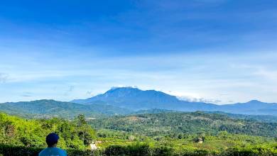 Borneo Wildlife Discoverer