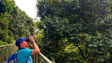 Borneo Wildlife Discoverer