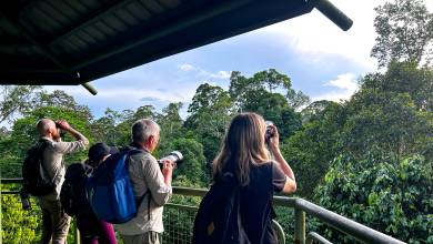 Borneo Wildlife Discoverer