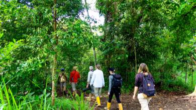 Borneo Wildlife Discoverer