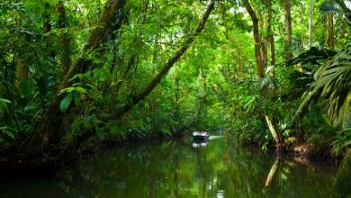 Costa Rica’s Coastal Secrets