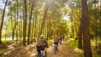 Porto to Lisbon Atlantic Ride